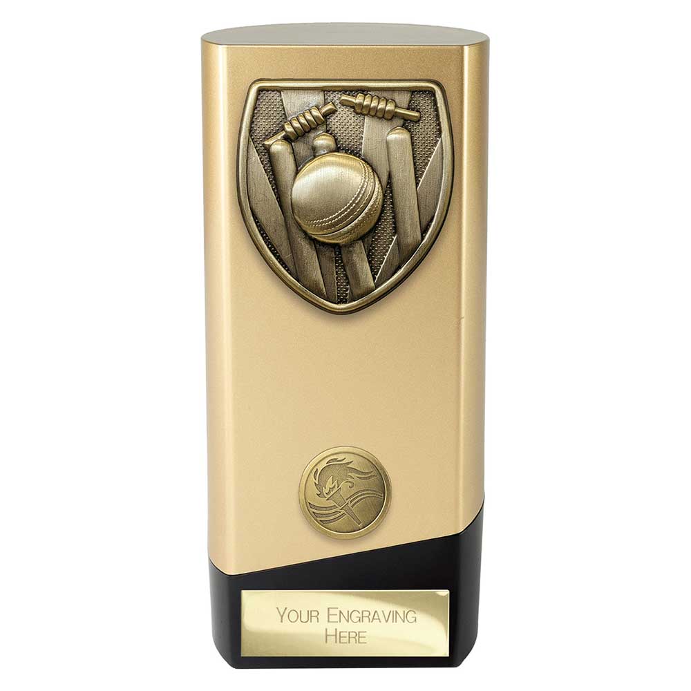 Prime Cobra Cricket Award