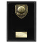 Cobra Plaque Pool Award