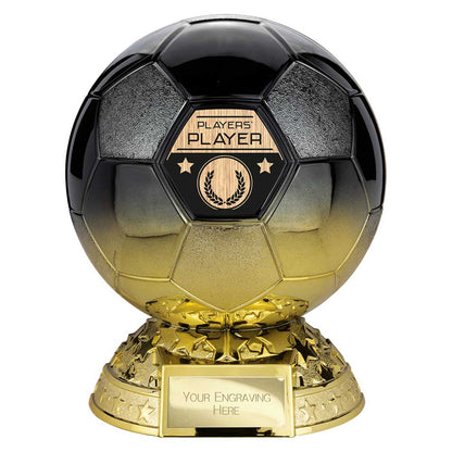 Elite Heavyweight Players Player Award Carbon Black to Gold