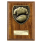Cobra Plaque Rugby Shirt & Ball Award