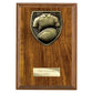 Cobra Plaque Rugby Shirt & Ball Award