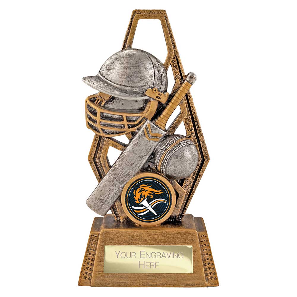 Immense Cricket Award