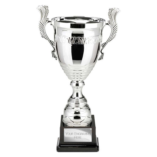 Endeavour Super Cup
