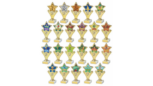 Fun Star Award