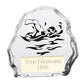 Mystique Swimming Glass Award