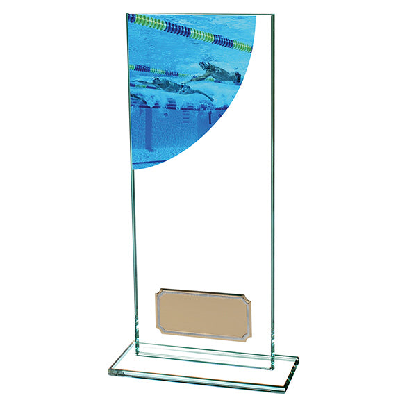 Swimming Colour-Curve Jade Crystal Award