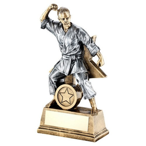 Brz-Gold-Pew Female Martial Arts Figure With Star Backing Trophy - 3 Sizes