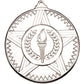 Striped Star Medal