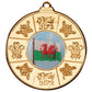 Wales Medal