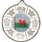 Wales Medal