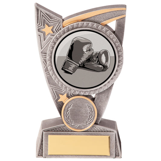 Triumph Boxing Award