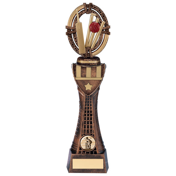 Maverick Cricket Heavyweight Award