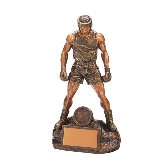 Ultimate Boxing Award - Available in 4 Sizes