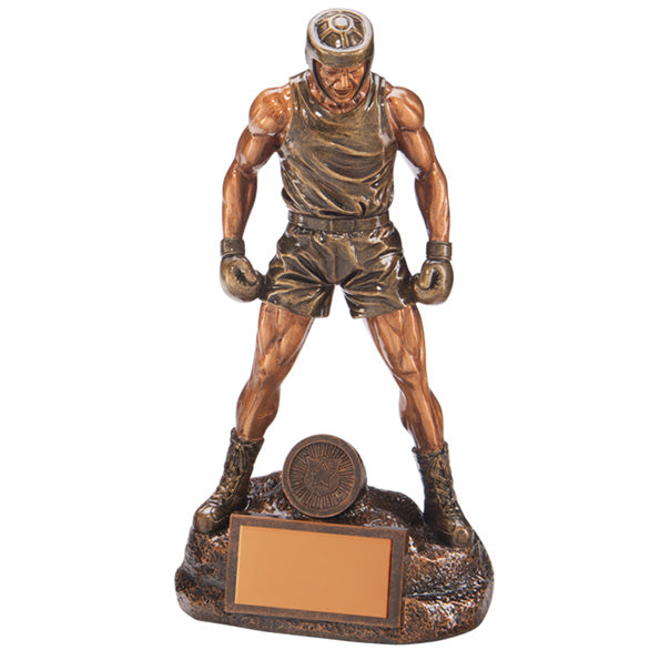 Ultimate Boxing Award - Available in 4 Sizes