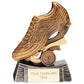 Raptor Football Resin Award