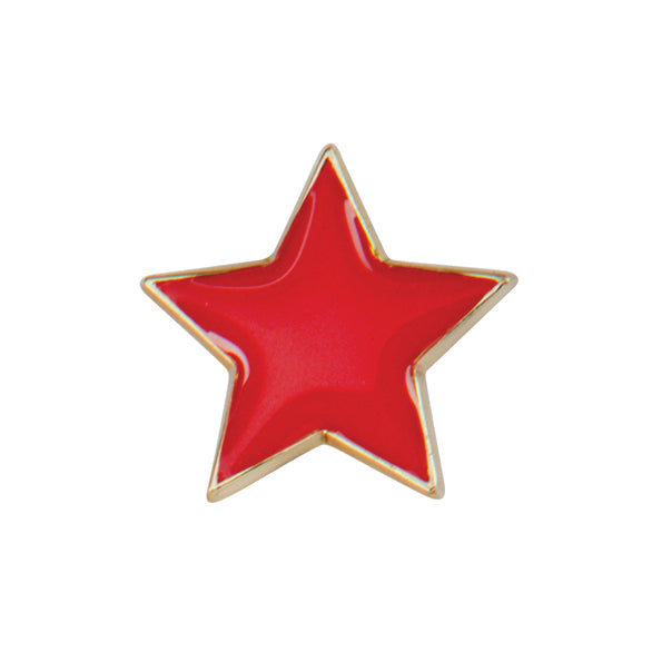 Scholar Pin Badge Star