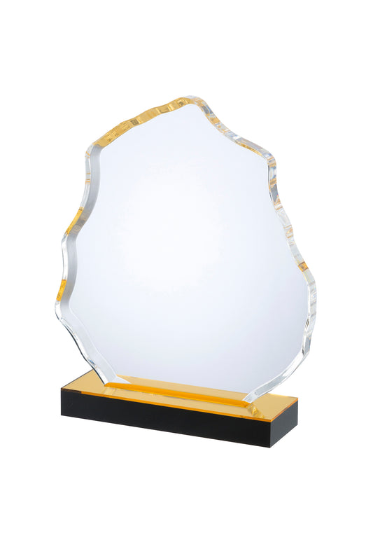 LG Acrylic Award - 3 Sizes