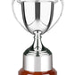 Silver Plated Advocate Award - 3 Sizes