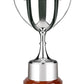 Silver Plated Advocate Award - 3 Sizes