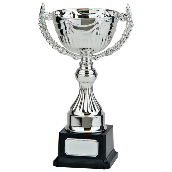 Endeavour Silver Cup