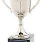 Nickel Plated Trophy Cup