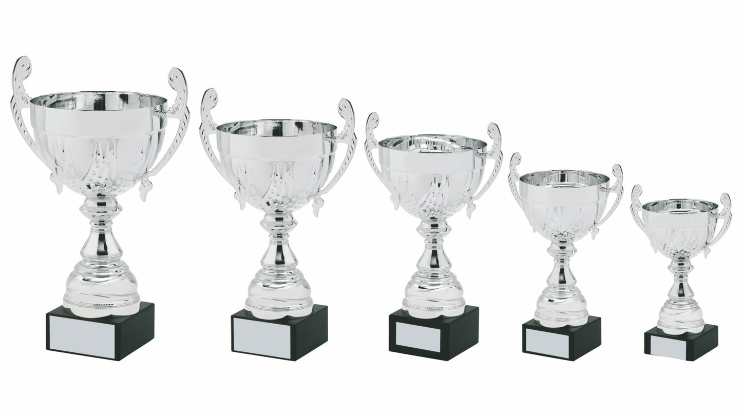 Silver Presentation Cup with Handles