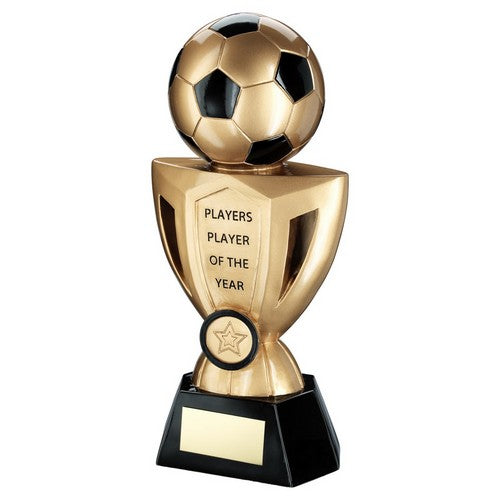 254mm Brz-Pew-Gold Football On Cup With Plate - Players Player