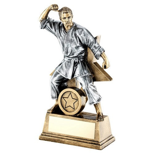 Brz-Gold-Pew Male Martial Arts Figure With Star Backing Trophy - 3Sizes