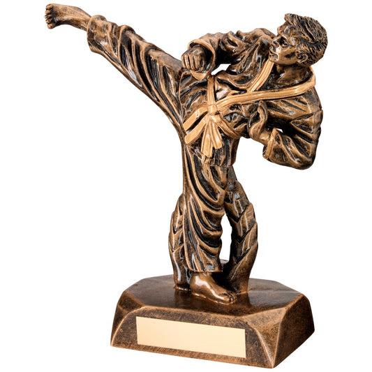 Bronze And Gold Resin Karate Figure Trophy