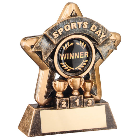 Brilliant Bronze and Gold Sports Day Mini Star Trophy