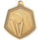 Falcon Cricket Medal