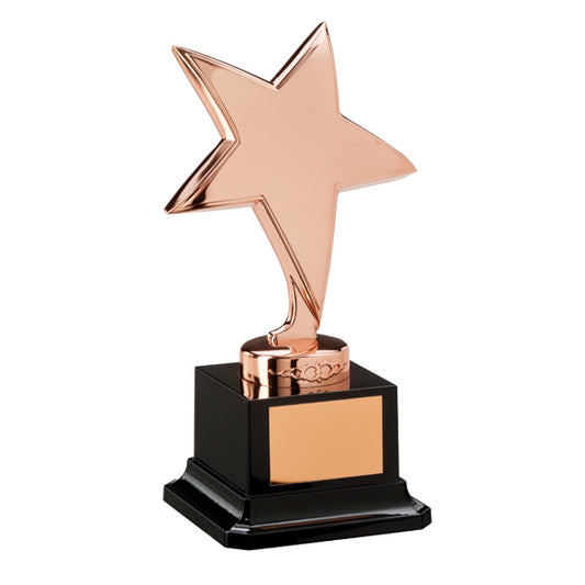 The Challenger Star Bronze Award