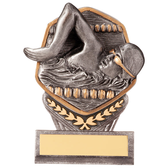 Falcon Swimming Male Award