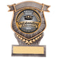 Falcon Multisport Award