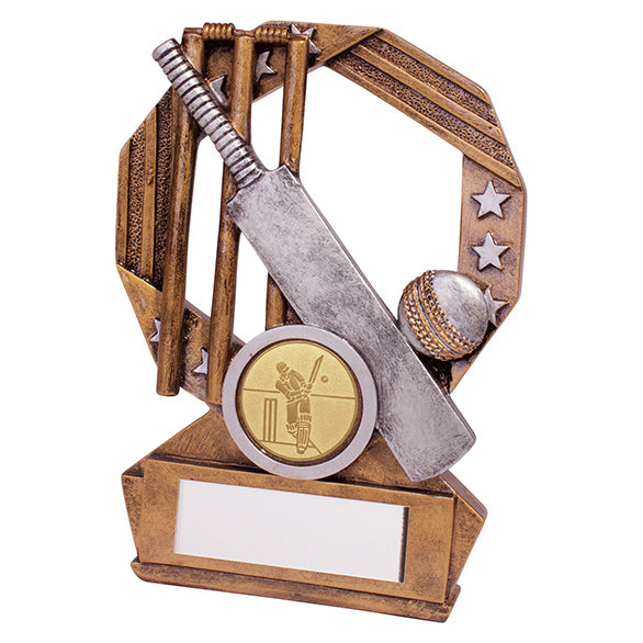 Enigma Cricket Award - 3 Sizes