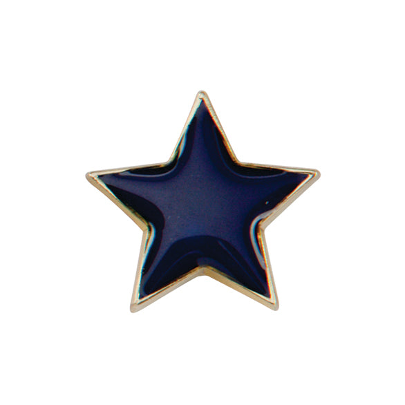 Scholar Pin Badge Star