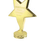 Free Standing Star Award - 2 Colours