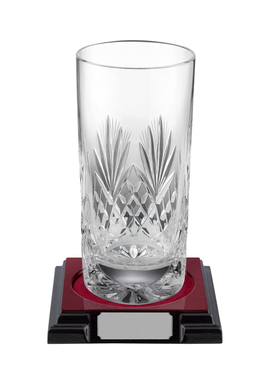 SBA Hand Cut Crystal Award