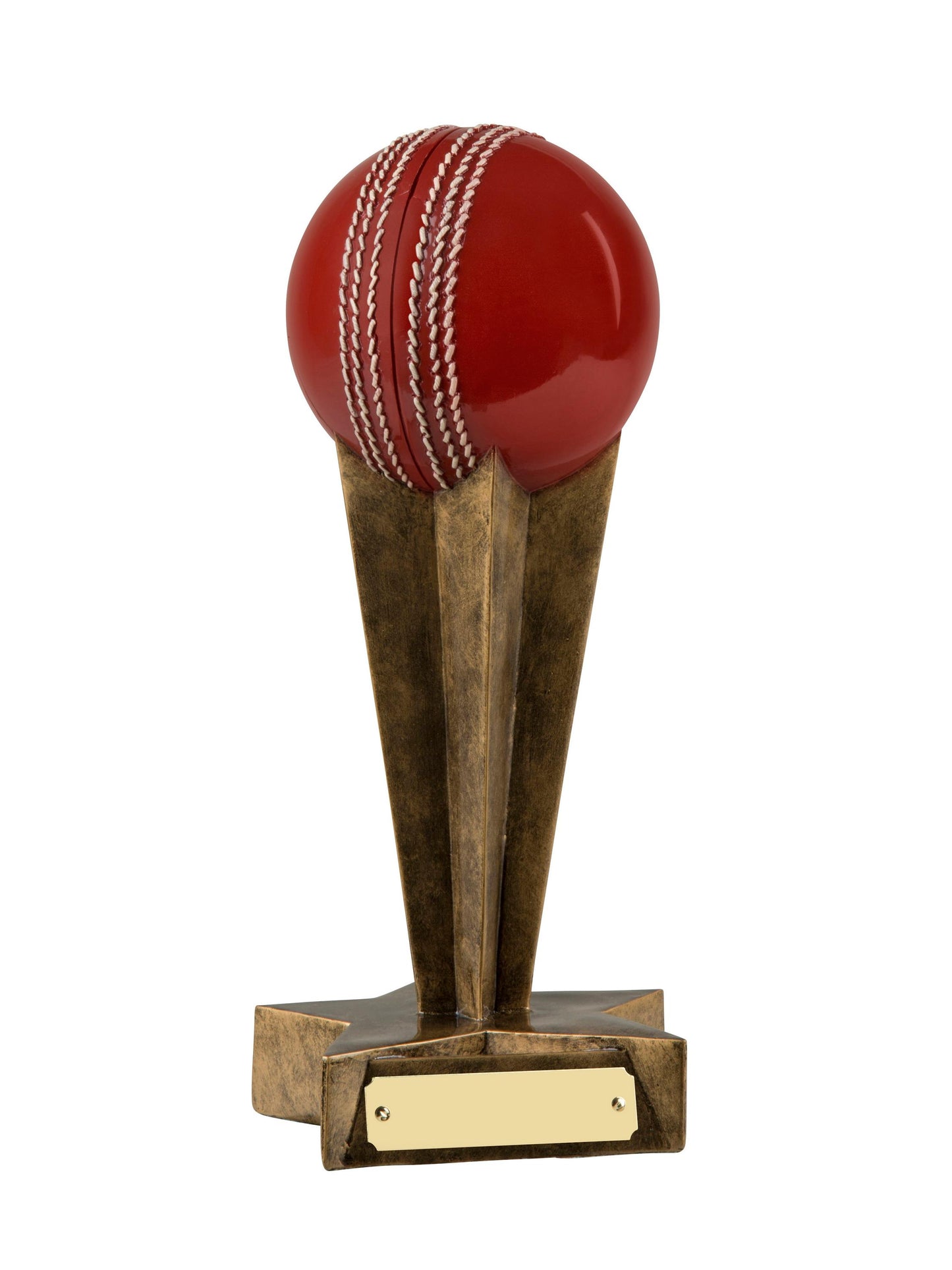 MB Cricket Award