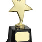 Star Award - Available in Gold and Silver