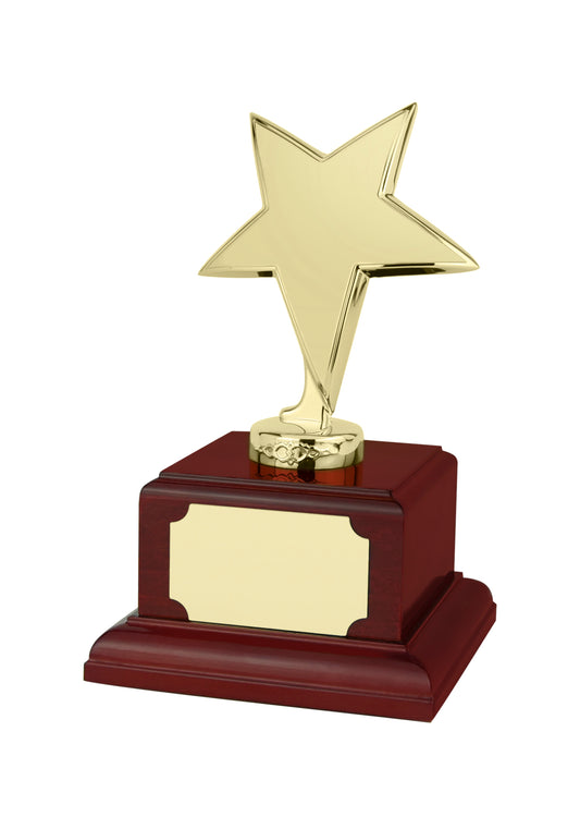 MB-EACH (P) 17.5cm Gold Finish Star Award