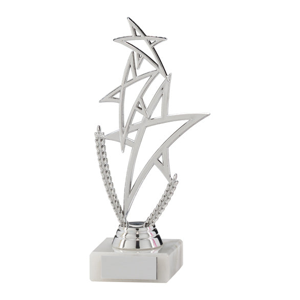 Rising Star Multi-Sport Silver Trophy 180mm