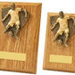 Light Oak Male Footballer Wood Plaque Trophy - 2 Sizes