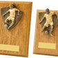Light Oak Female Footballer Wood Plaque Trophy - 2 Sizes