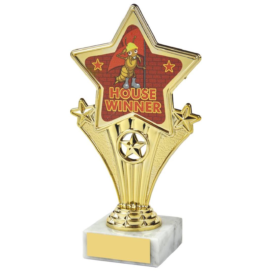 17cm Fun Customisable Star Awards