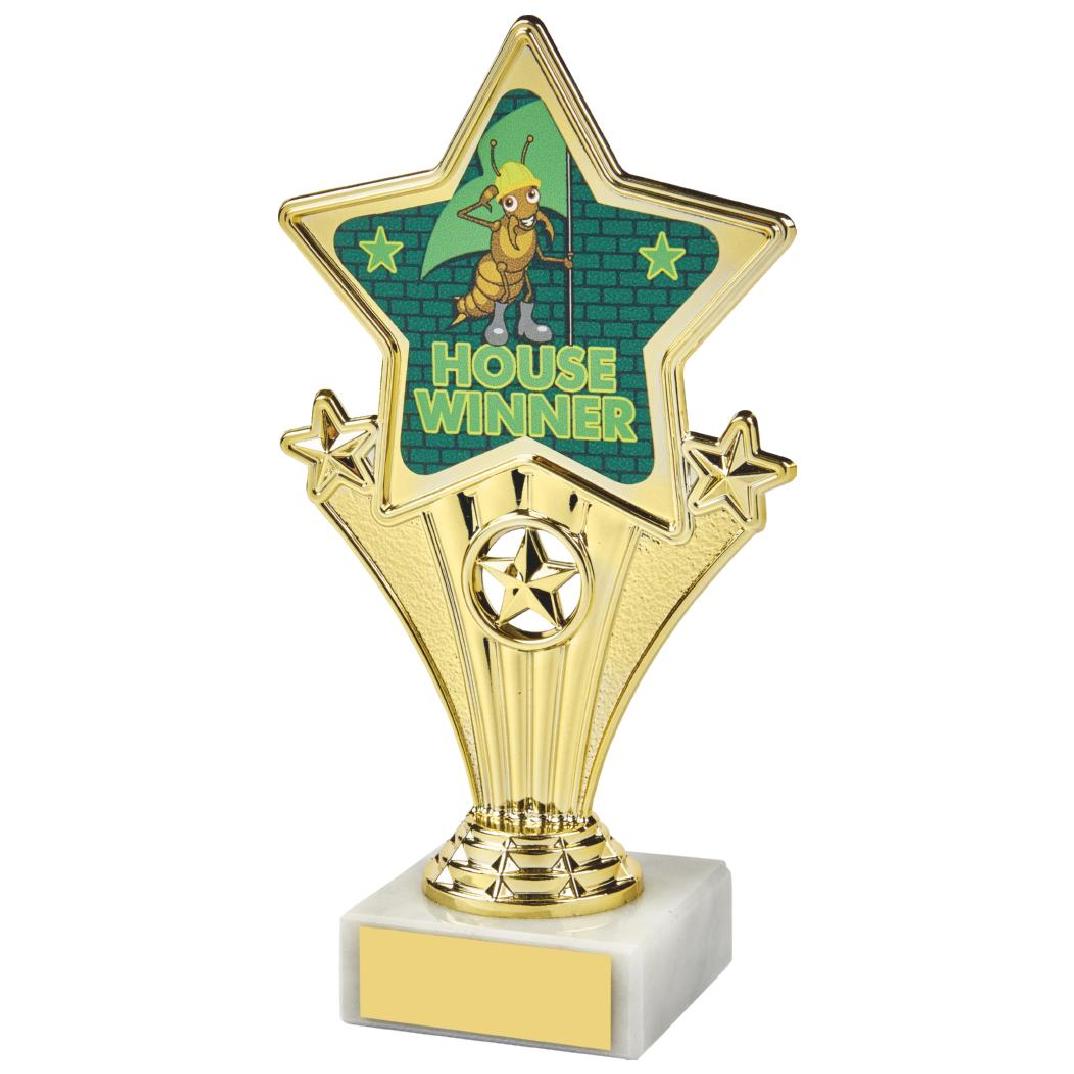 17cm Fun Customisable Star Awards