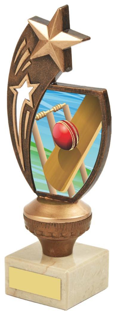 Antique Gold Cricket Star Award - 3 Sizes