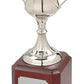 Nickel Plated Trophy Cup