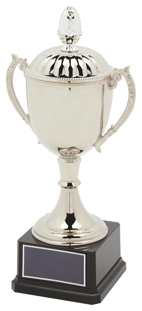 Nickel Plated Trophy Cup With Lid Versatile