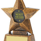 Resin Star Award In Gold
